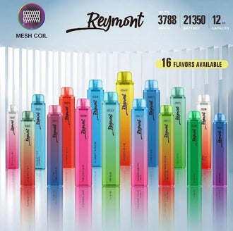 Reymont Disposable Vape Pod Pen - 3788 Puffs 2ml 20mg