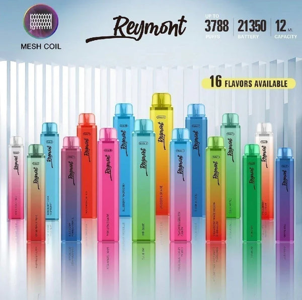 Reymont Disposable Vape Pod Pen - 3788 Puffs 2ml 20mg